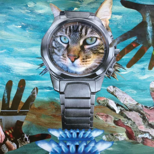 THE CAT ON THE BURNING TIME, 2016